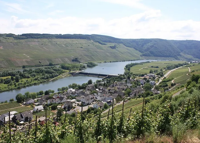 아파트 Moseltraum Alte Schmiede *